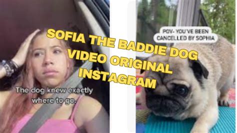 sofia the baddie dog full video|sofia+the+baddie+dog+twitter+full+video 